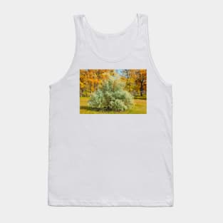 Cherry Creek Trail Study 2 Autumn Tank Top